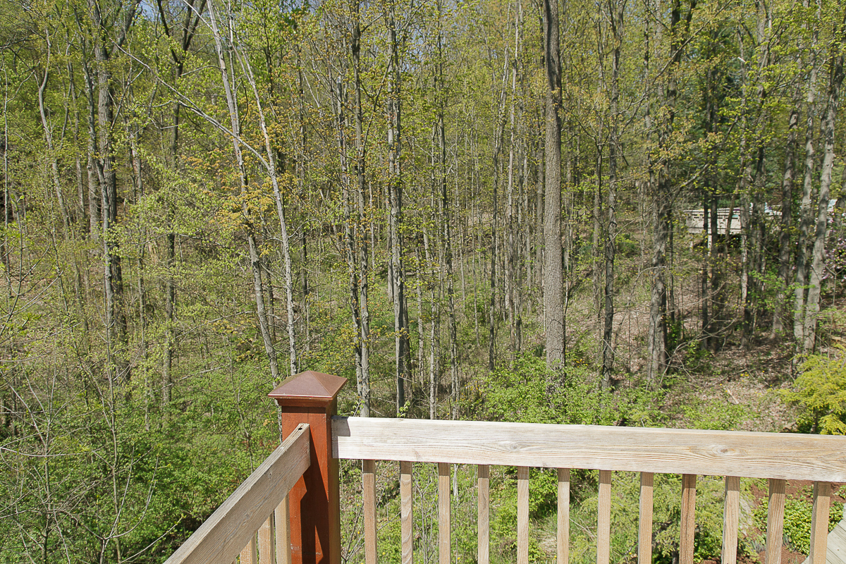 1707 Hyatts Rd-22