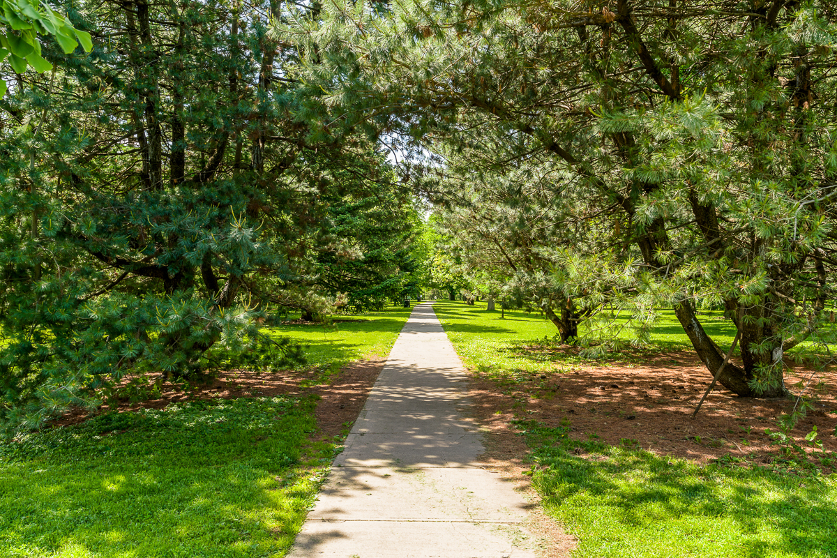 53 Buttles Ave-37